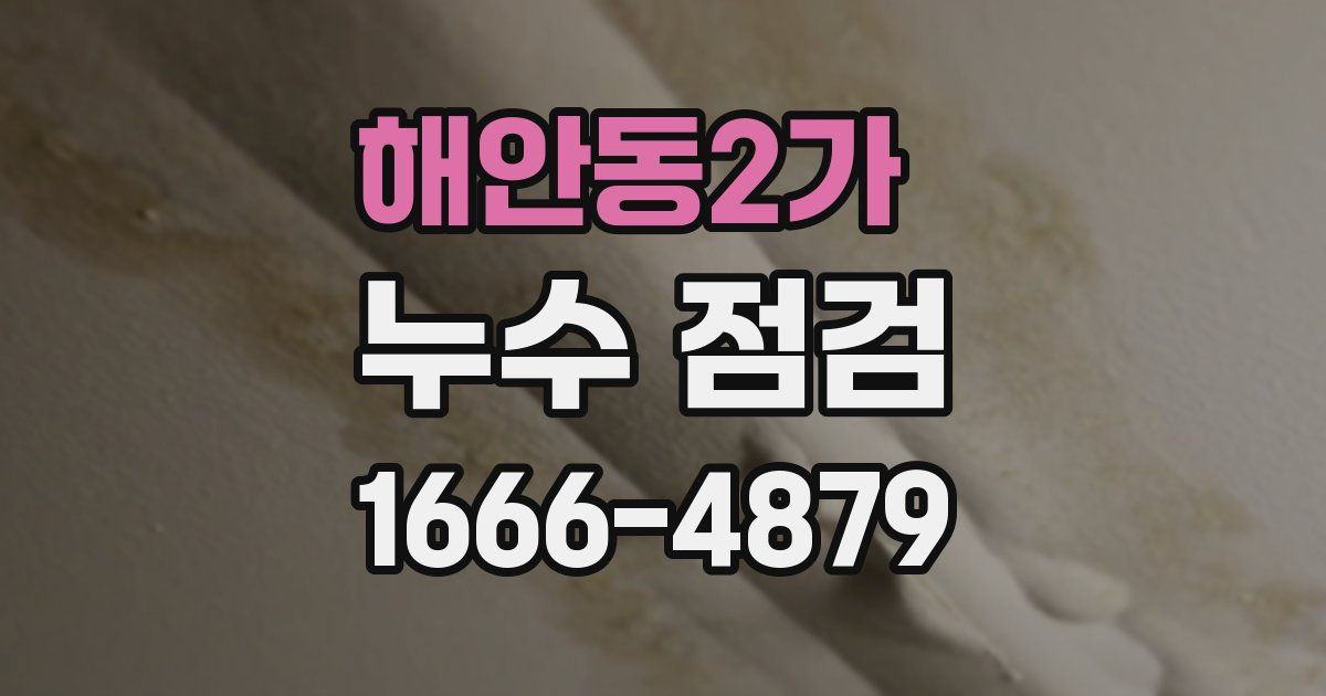 해안동2가 누수 점검