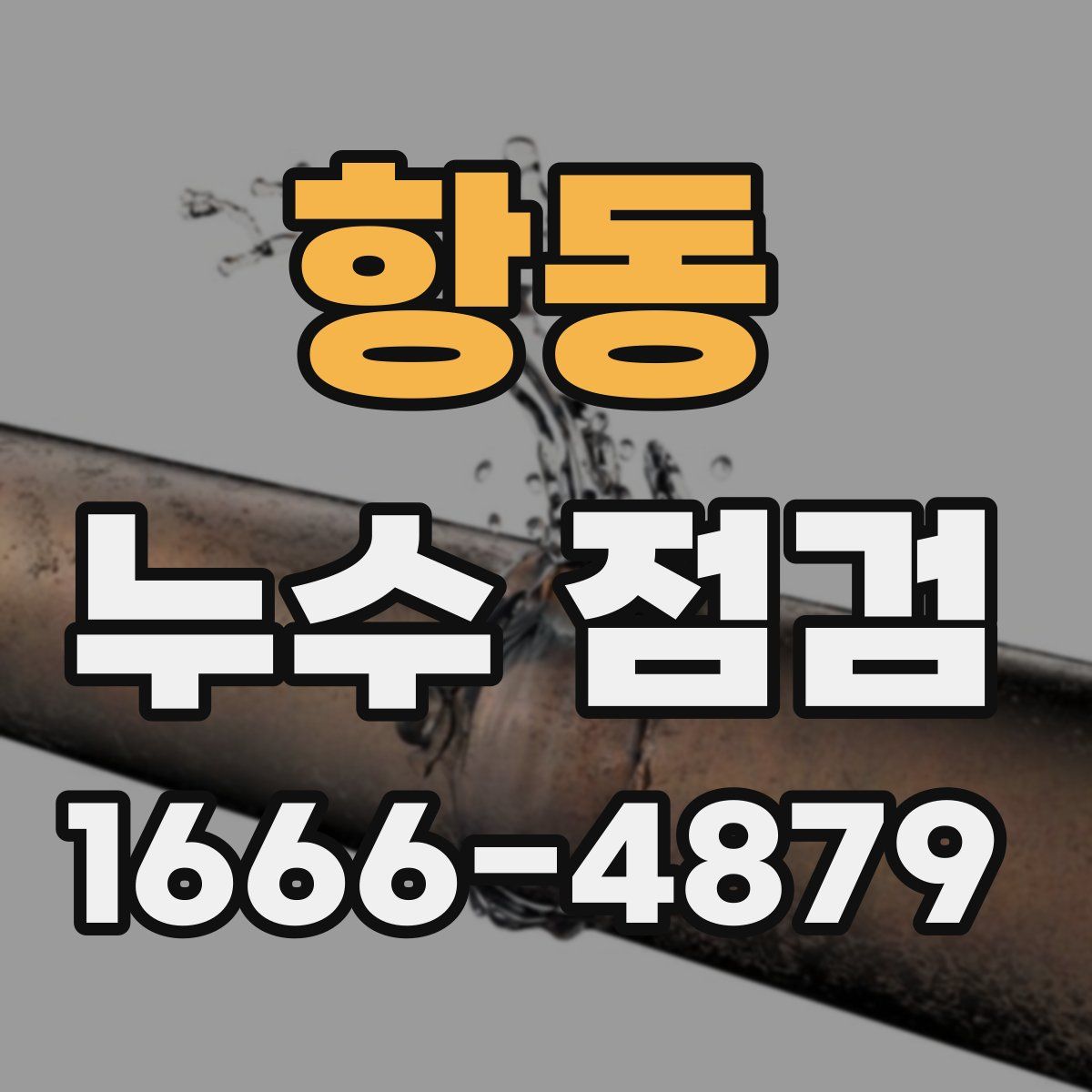 항동 누수 점검
