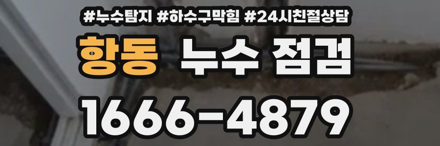 항동 누수 점검
