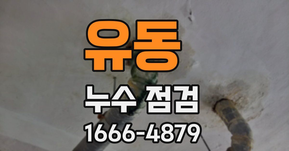 유동 누수 점검