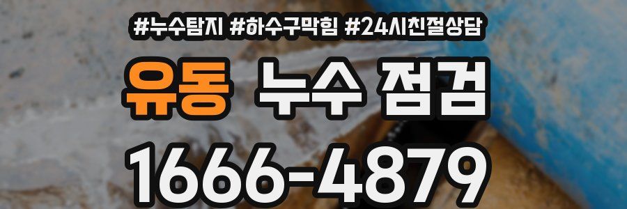 유동 누수 점검