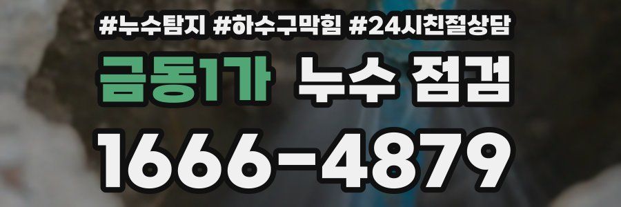 금동1가 누수 점검
