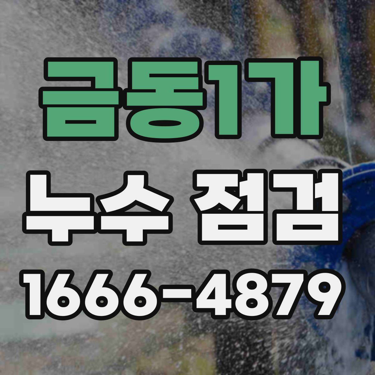 금동1가 누수 점검