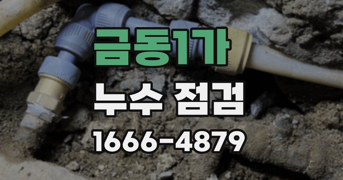 금동1가 누수 점검