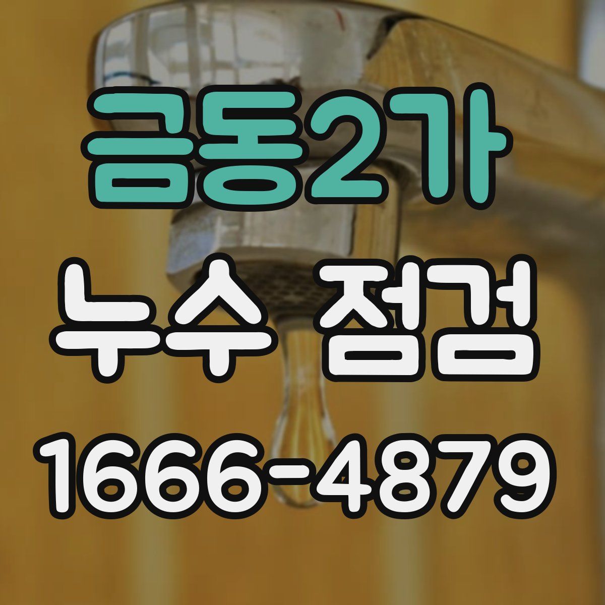 금동2가 누수 점검