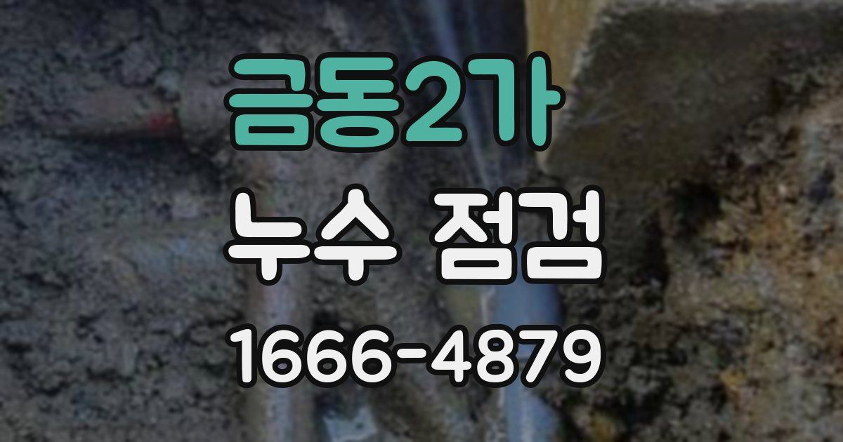 금동2가 누수 점검