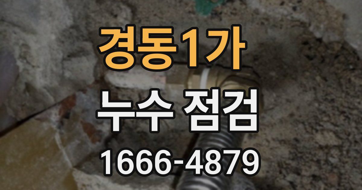 경동1가 누수 점검