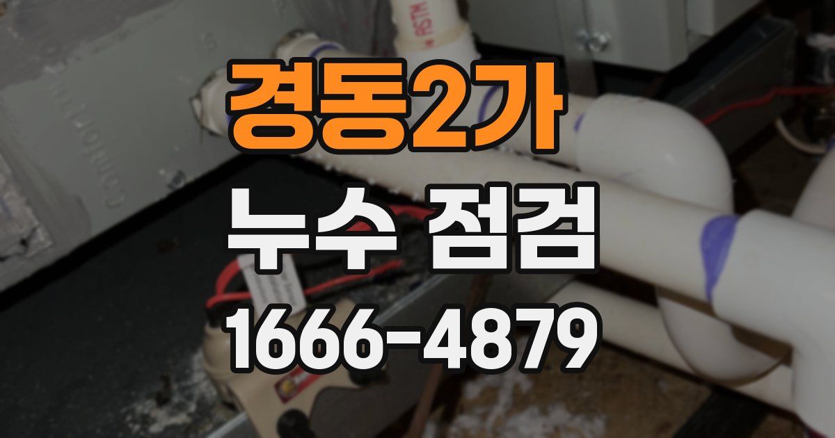 경동2가 누수 점검