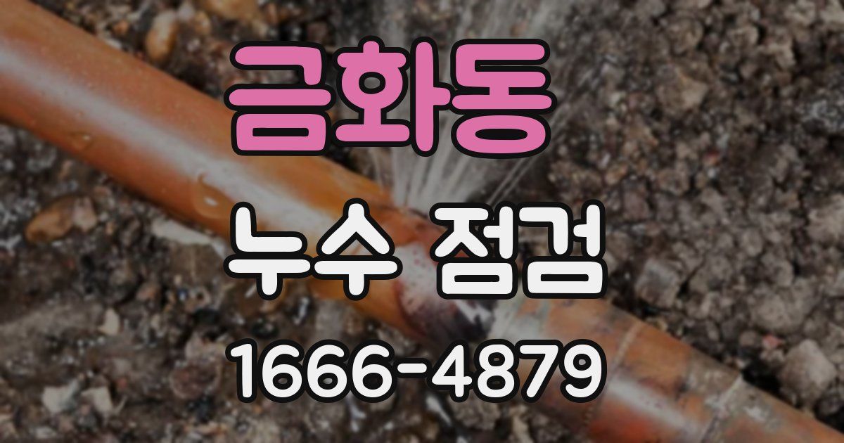 금화동 누수 점검