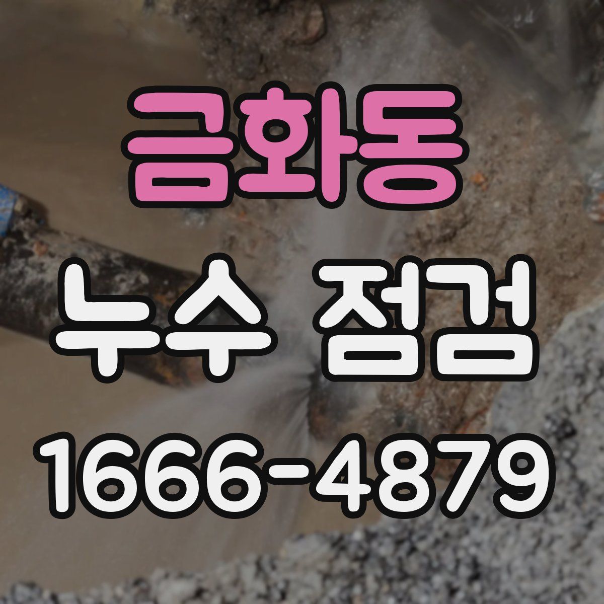 금화동 누수 점검