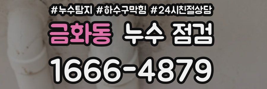 금화동 누수 점검