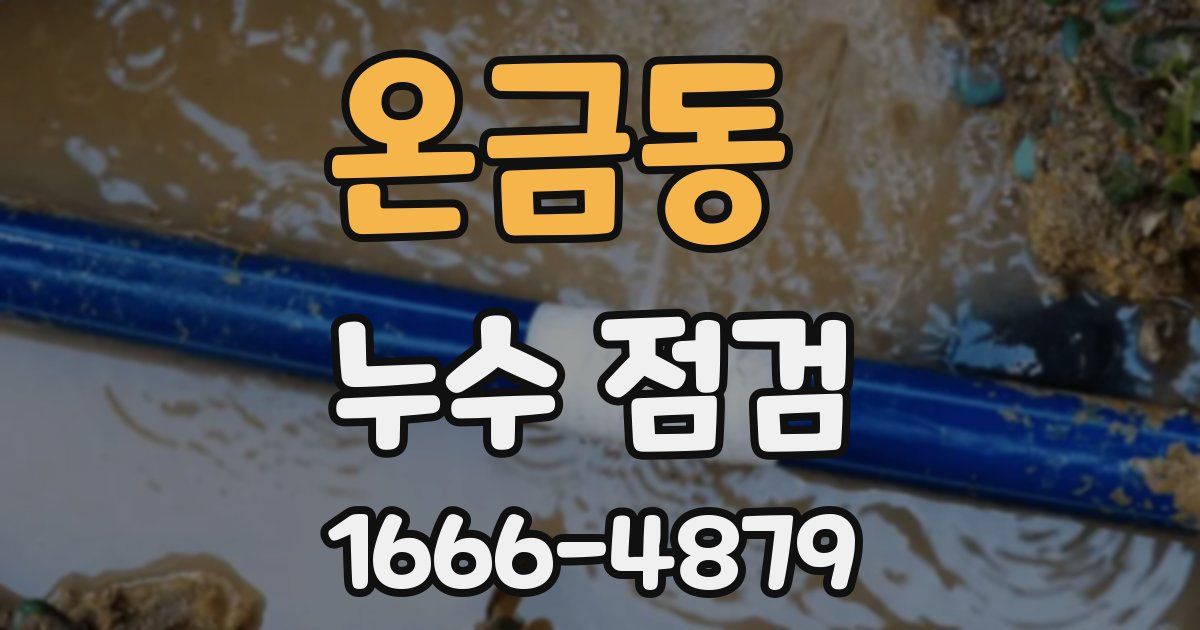 온금동 누수 점검