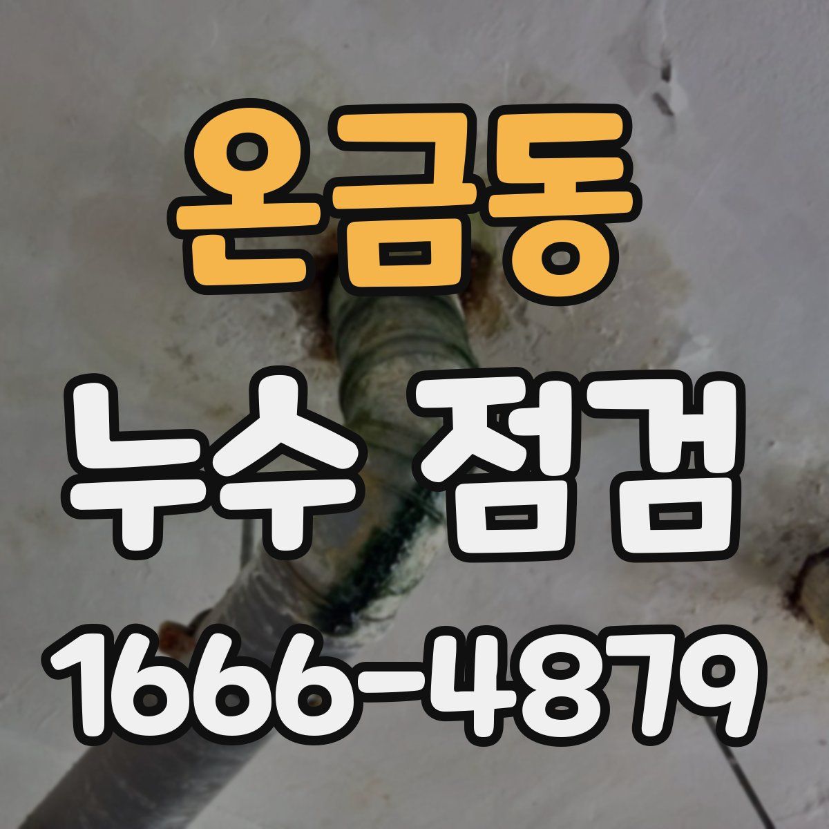 온금동 누수 점검