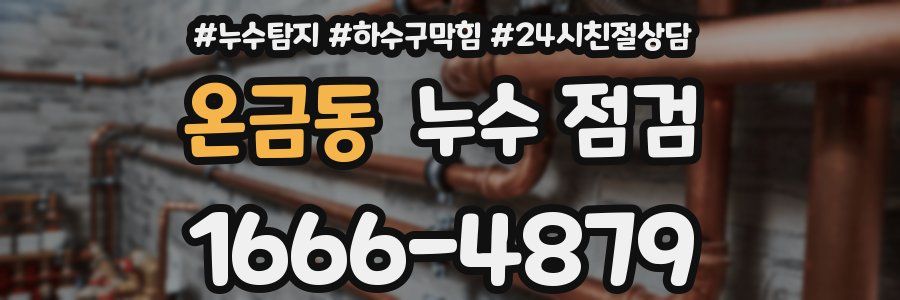 온금동 누수 점검