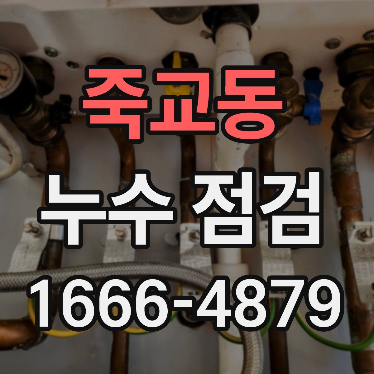죽교동 누수 점검
