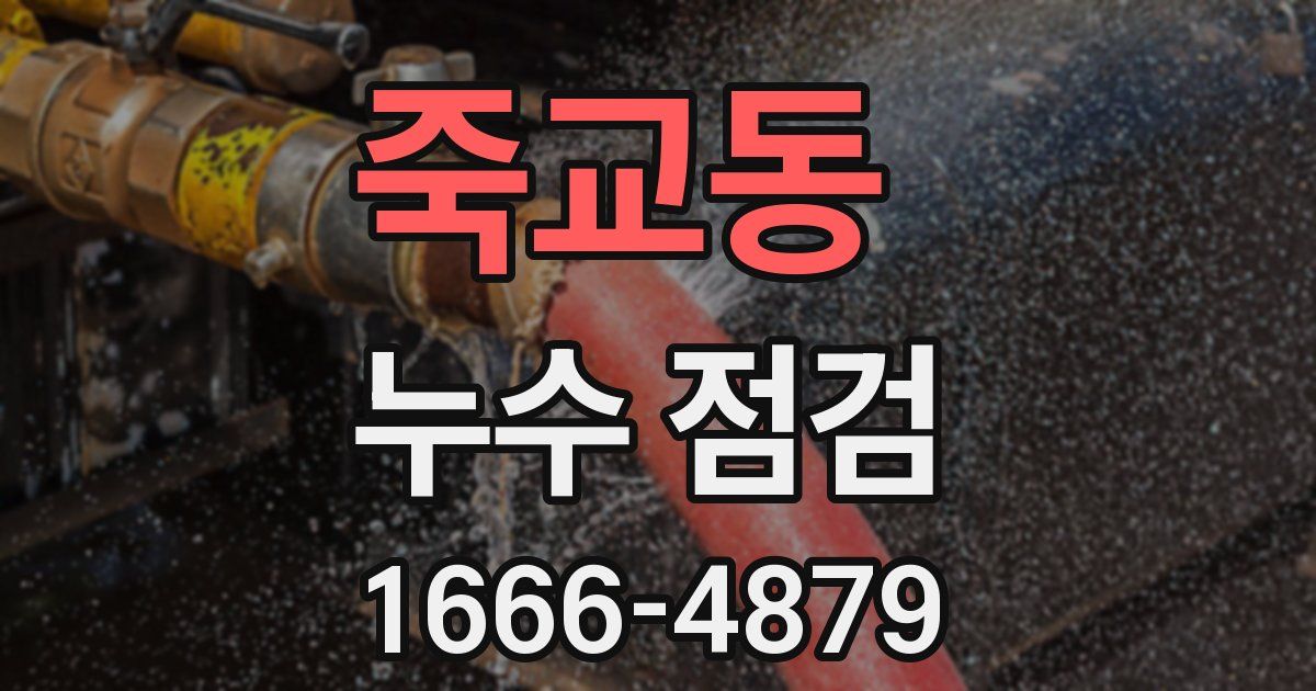죽교동 누수 점검