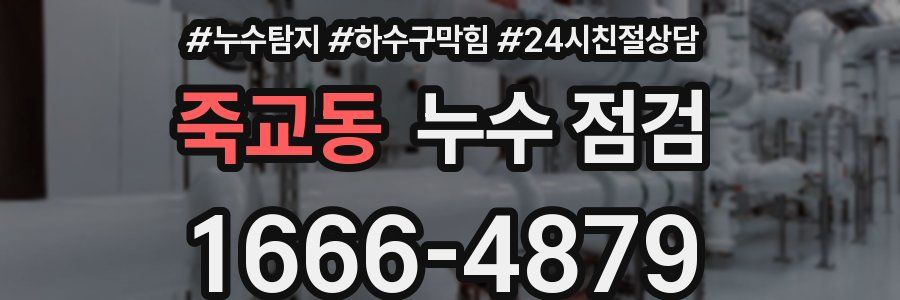 죽교동 누수 점검