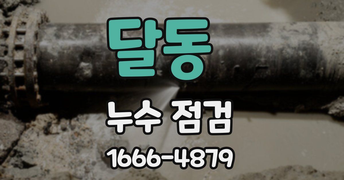 달동 누수 점검
