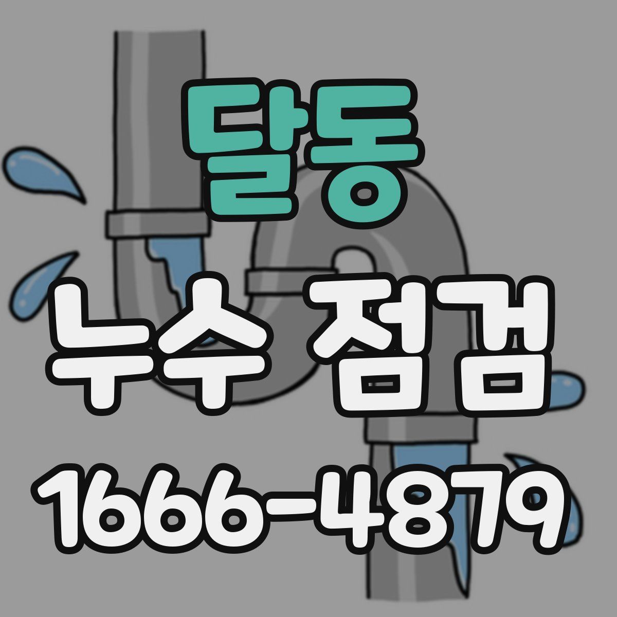달동 누수 점검