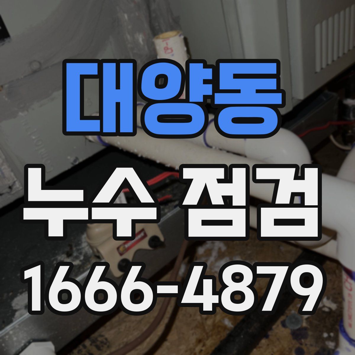 대양동 누수 점검