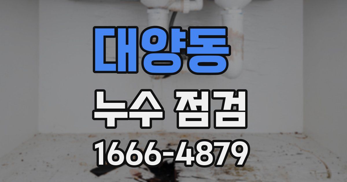 대양동 누수 점검
