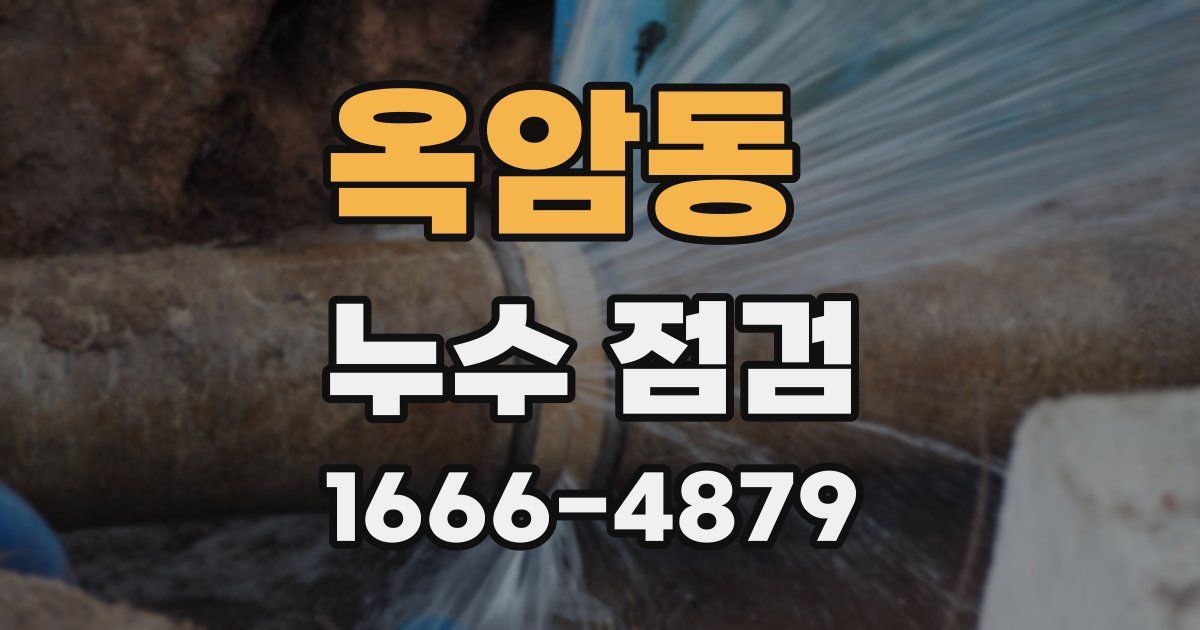 옥암동 누수 점검