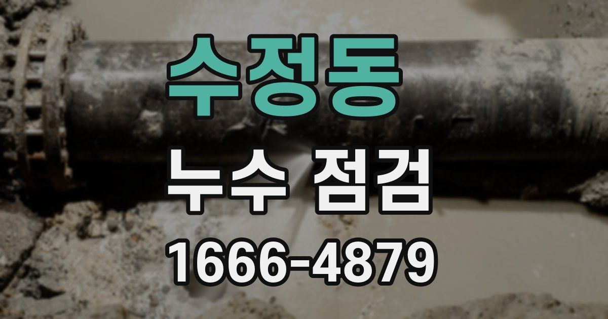 수정동 누수 점검