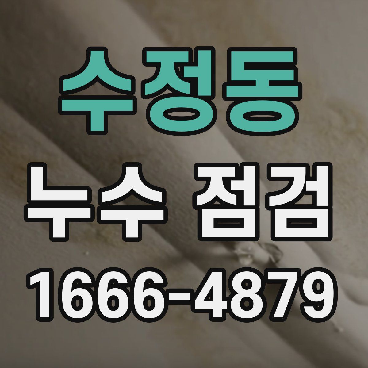 수정동 누수 점검