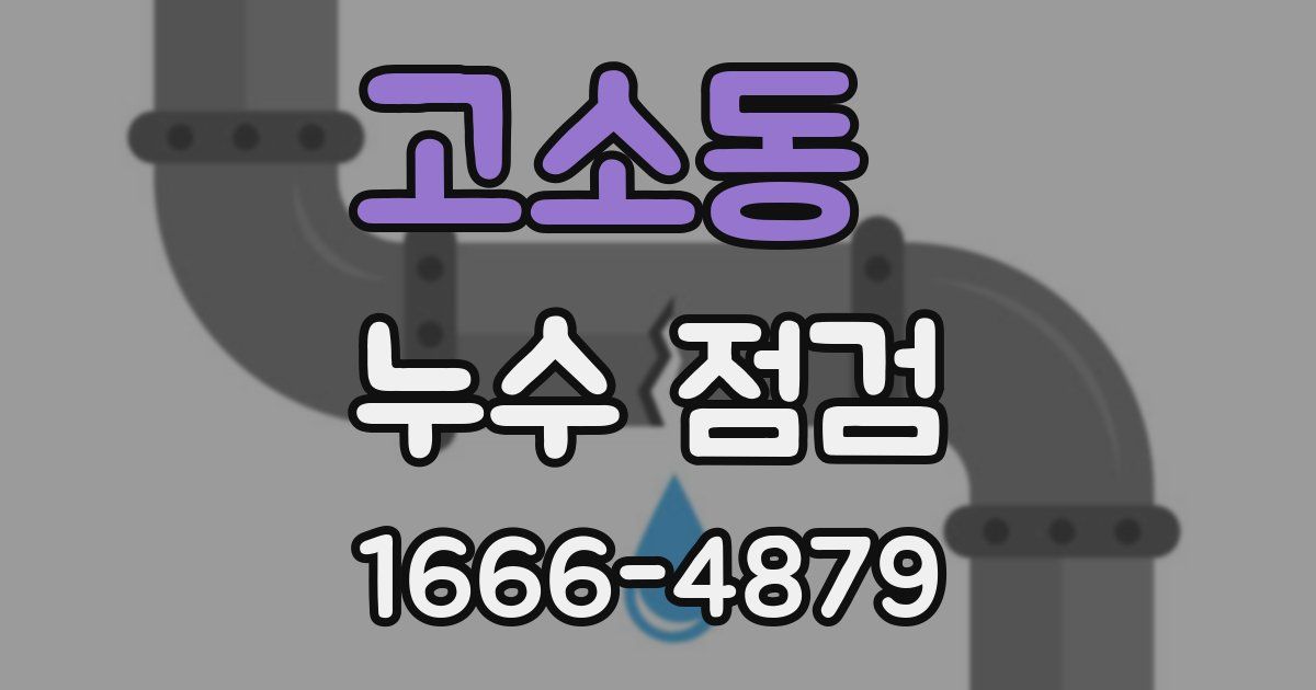 고소동 누수 점검