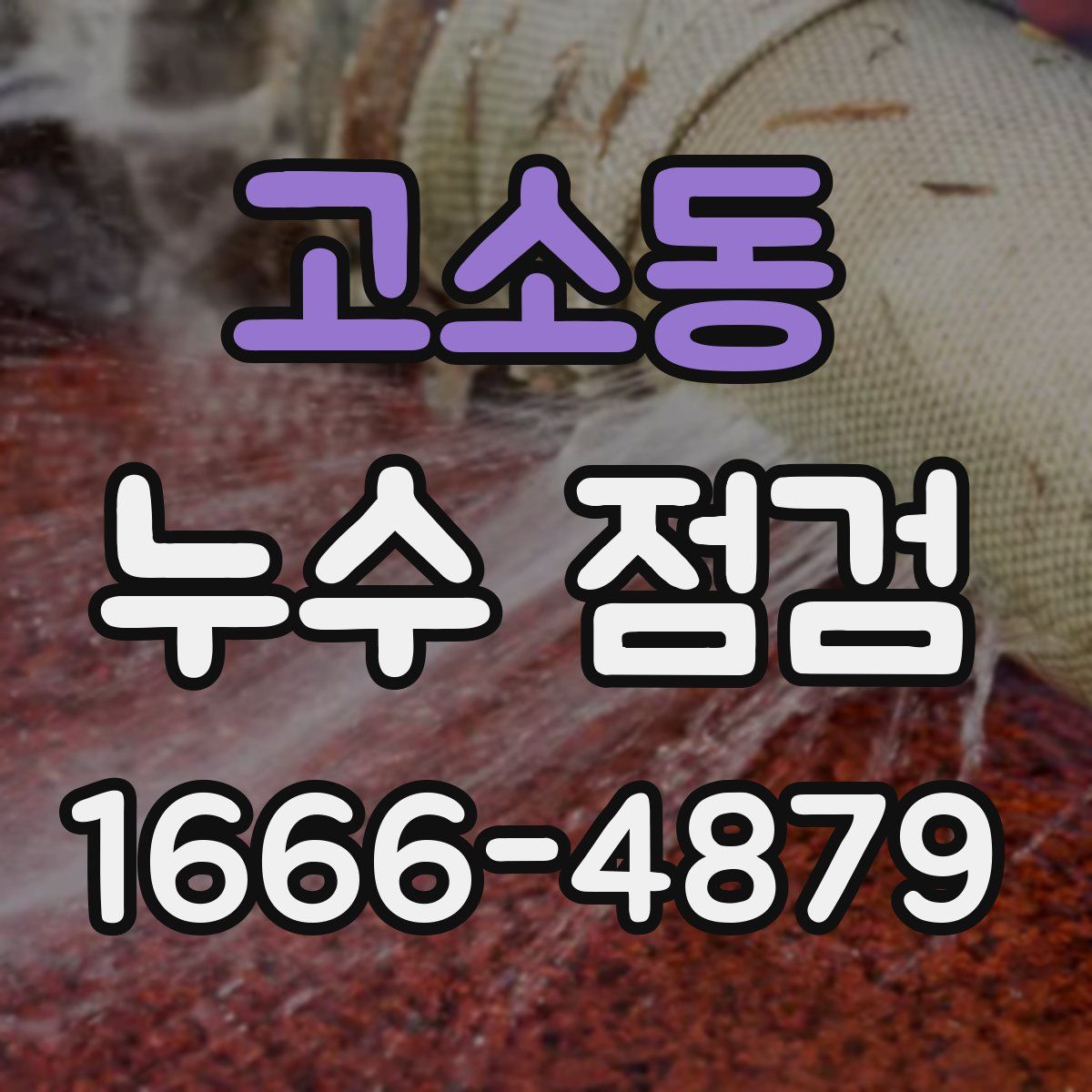 고소동 누수 점검