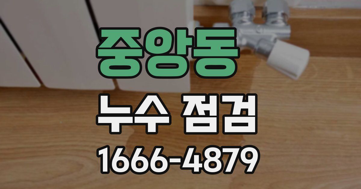 중앙동 누수 점검