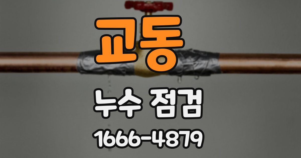 교동 누수 점검