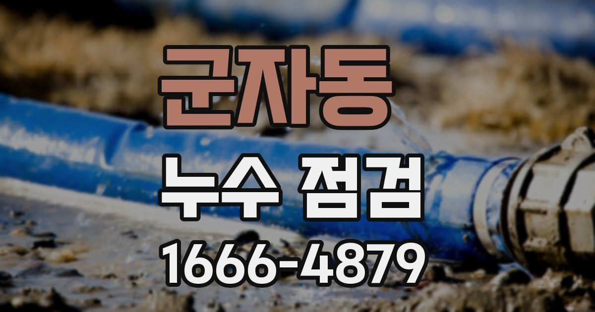 군자동 누수 점검
