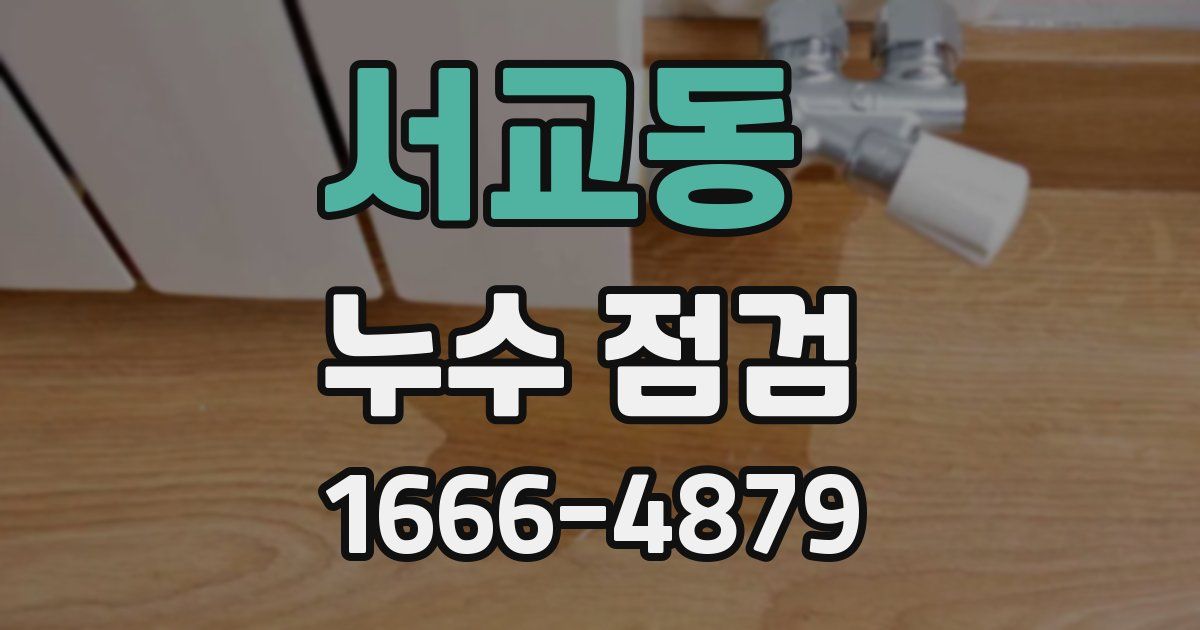 서교동 누수 점검