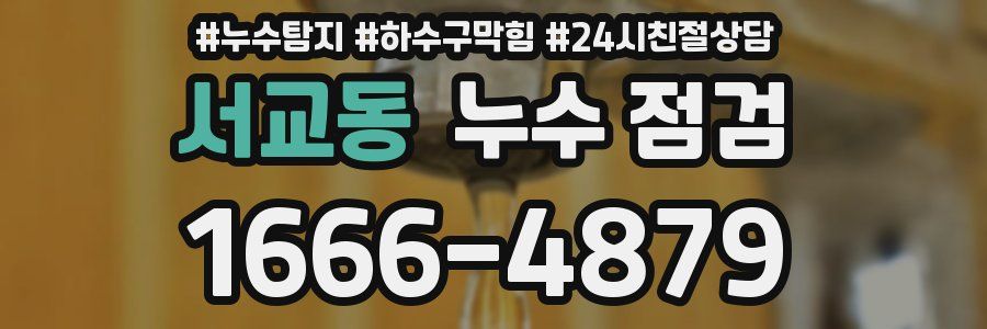 서교동 누수 점검