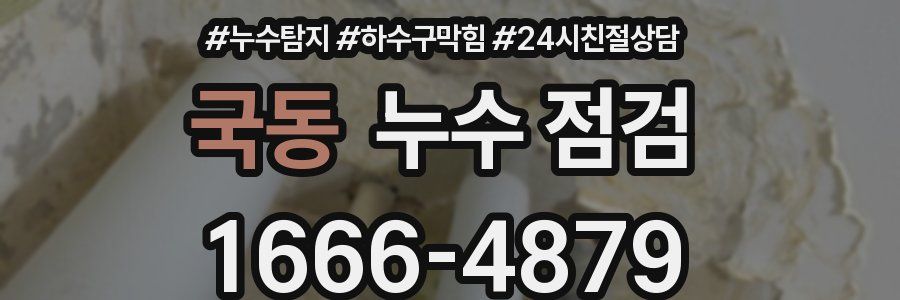 국동 누수 점검