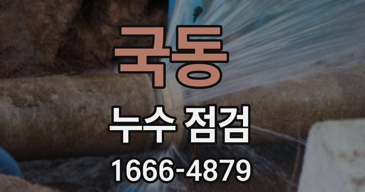 국동 누수 점검