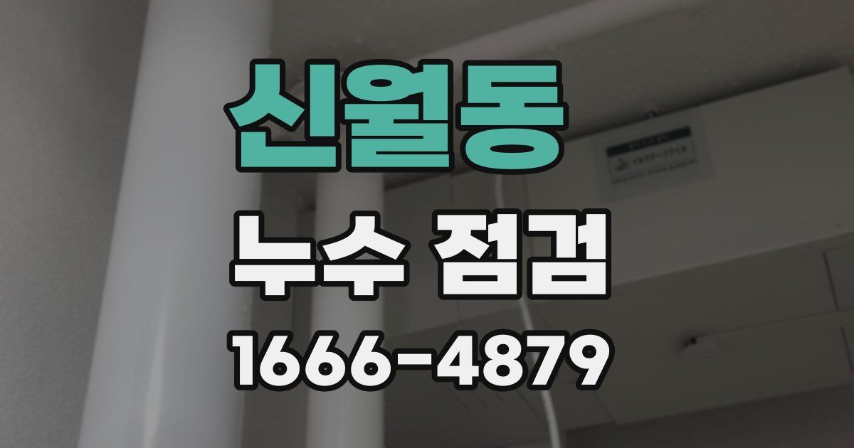 신월동 누수 점검