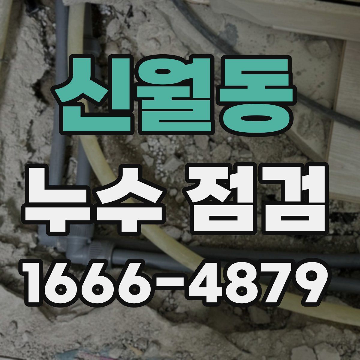 신월동 누수 점검