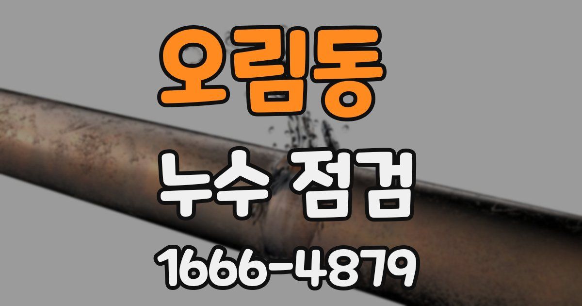 오림동 누수 점검