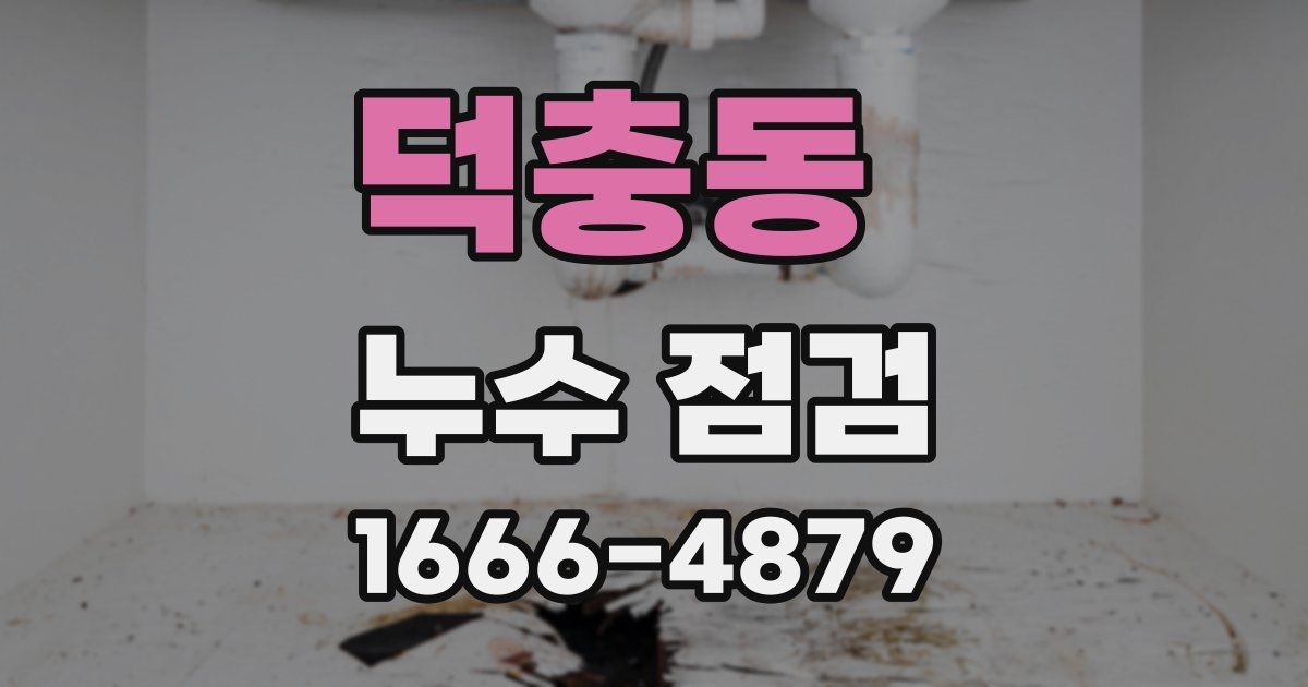 덕충동 누수 점검