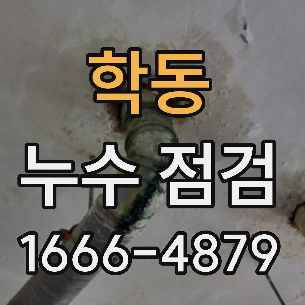 학동 누수 점검