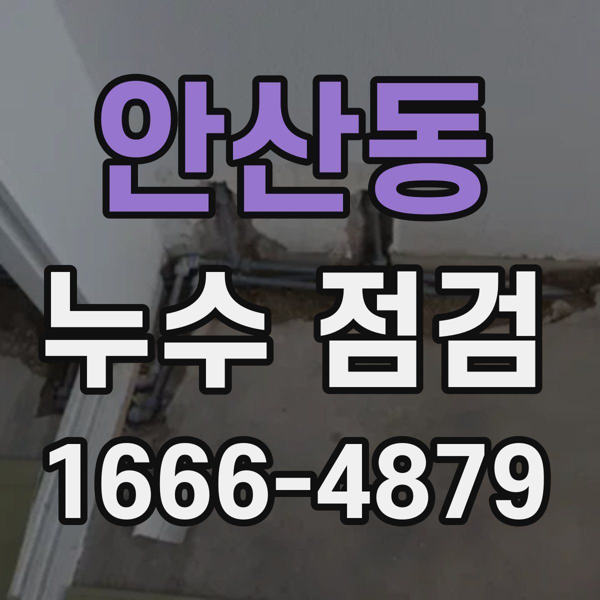 안산동 누수 점검