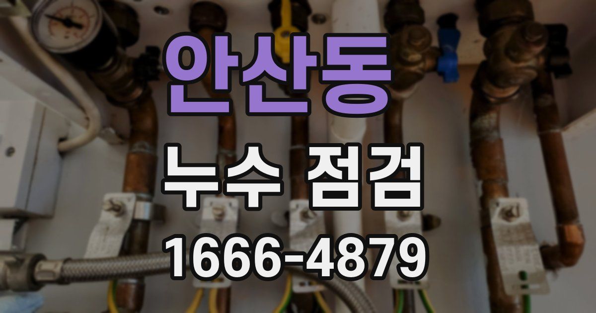 안산동 누수 점검
