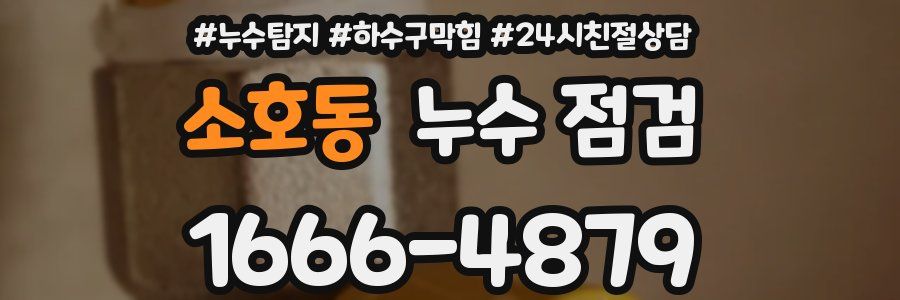 소호동 누수 점검