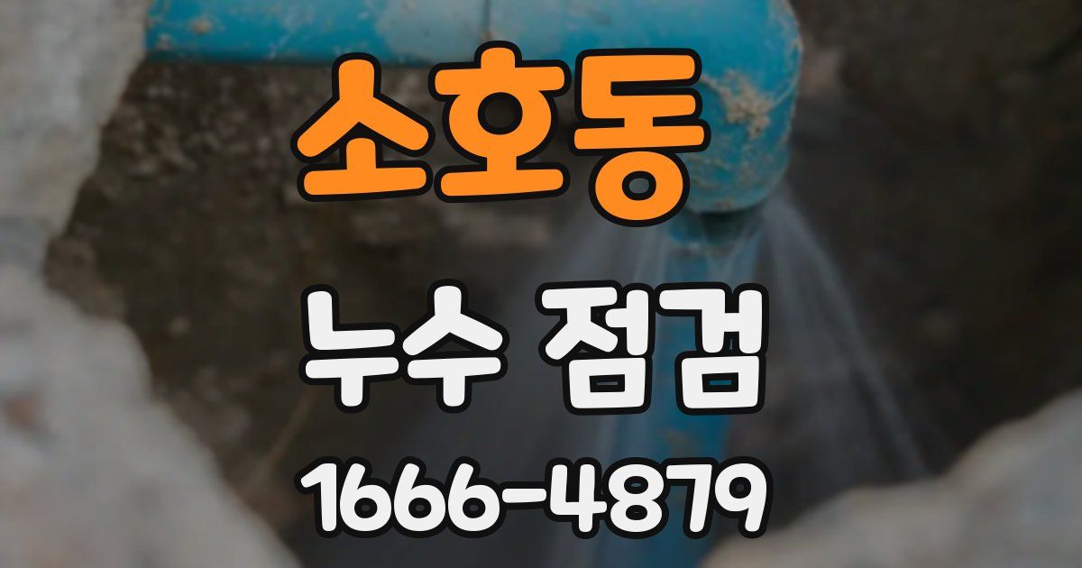 소호동 누수 점검