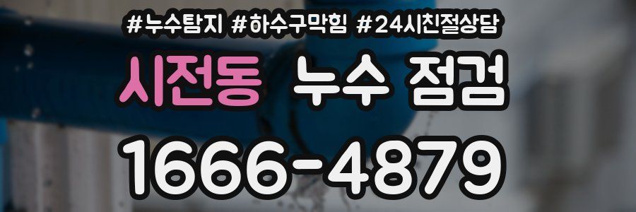시전동 누수 점검