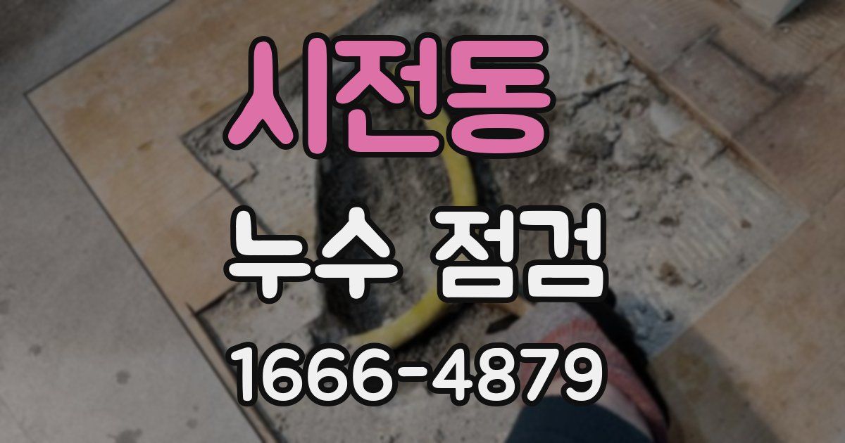 시전동 누수 점검