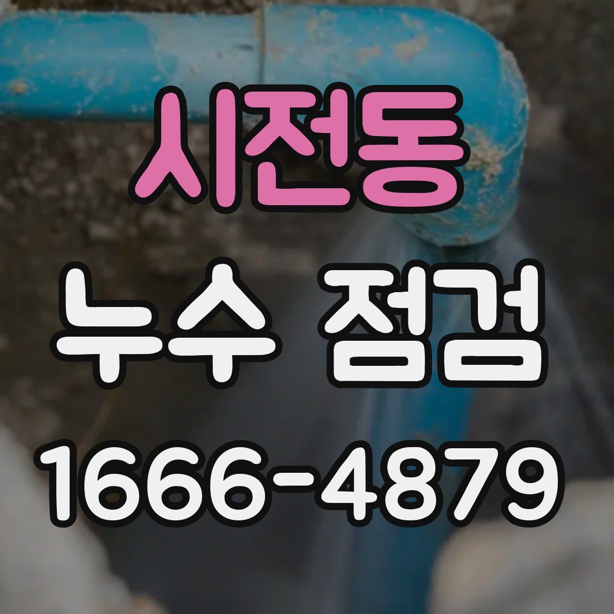 시전동 누수 점검