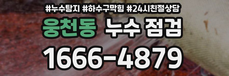 웅천동 누수 점검